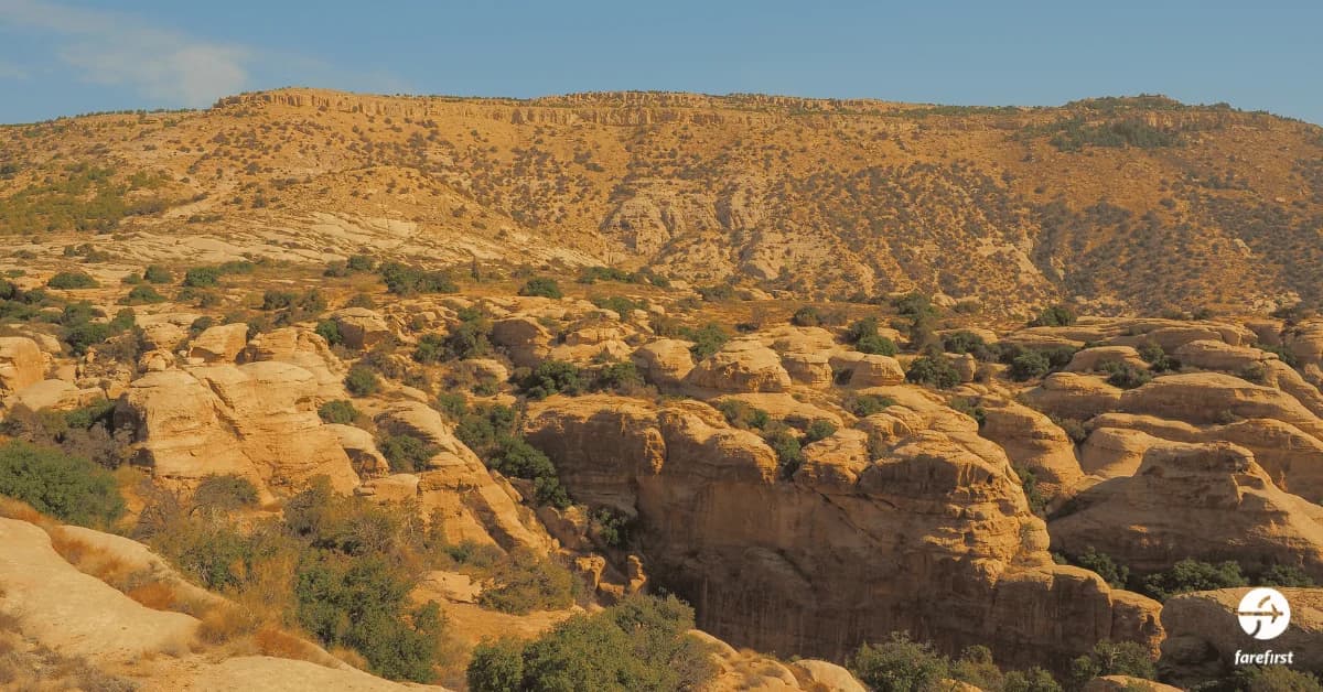 dana-biosphere-reserve