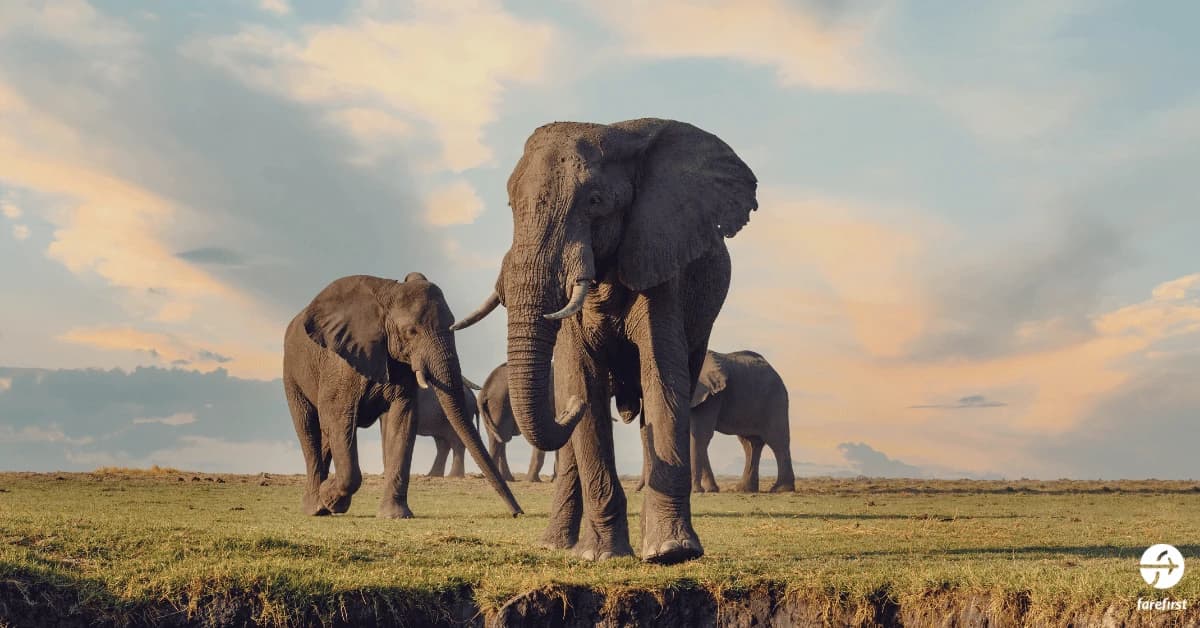 kruger-national-park-south-africa