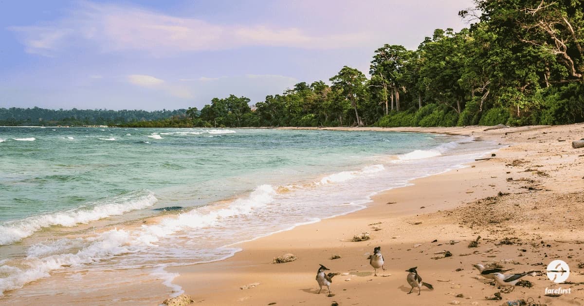 neil-island-a-peaceful-retreat