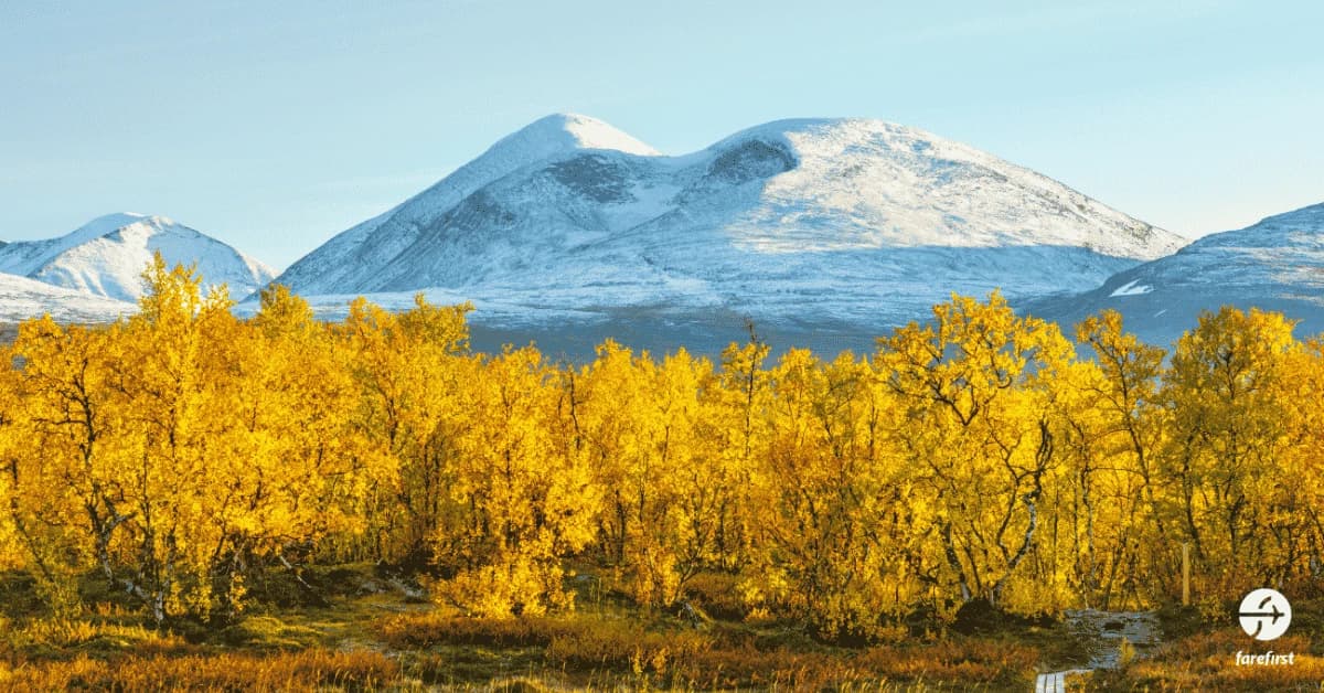 abisko-national-park-the-land-of-northern-lights