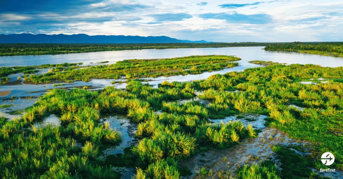 zambezi-river-the-lifeline-of-zambia