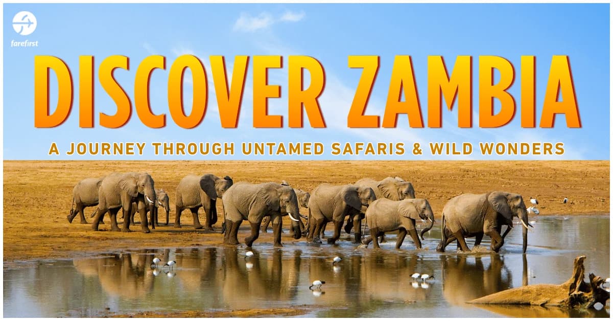 Zambia Unveiled: A Journey Through Untamed Safaris & Wild Wonders
