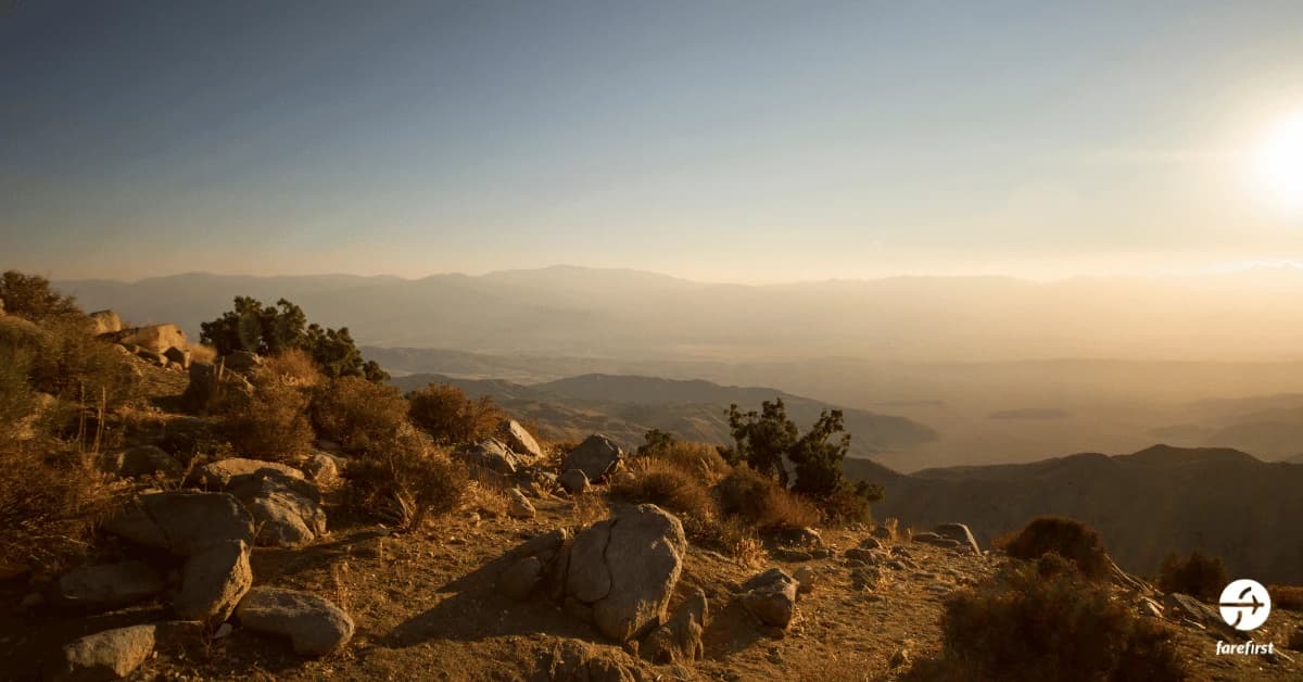 joshua-tree-national-park-desert-beauty-like-no-other