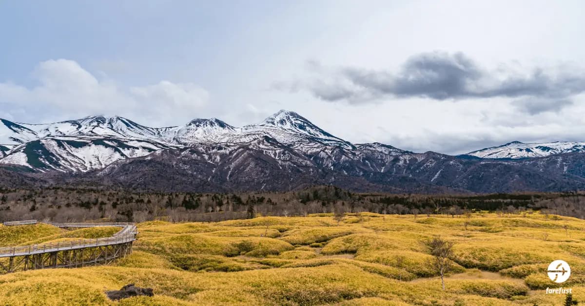 shiretoko-national-park-hokkaidos-untamed-wilderness