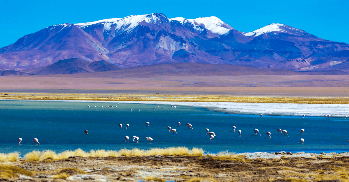 atacama-desert-chile