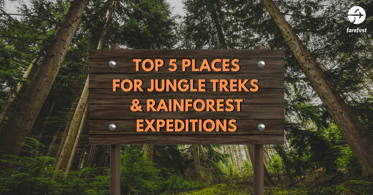 Top 5 Places for Jungle Treks and Rainforest Expeditions