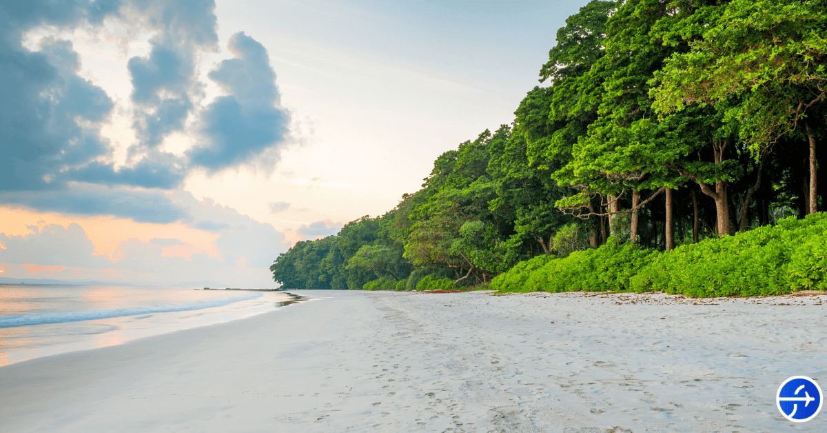 radhanagar-beach-andaman-nicobar-islands