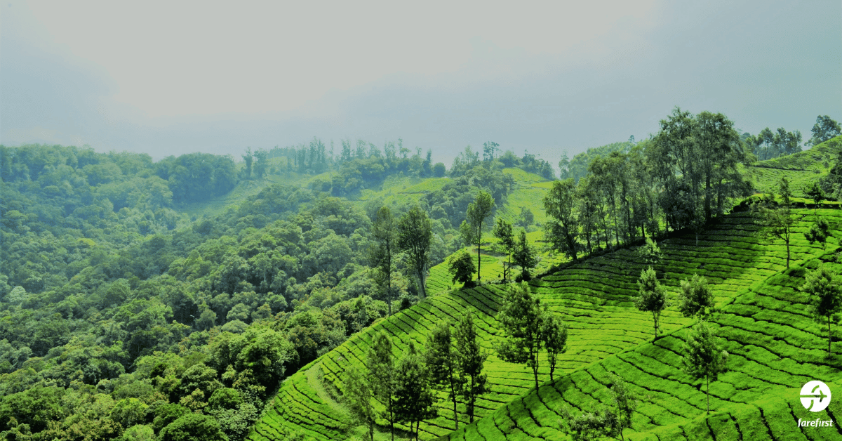 explore-keralas-must-visit-places