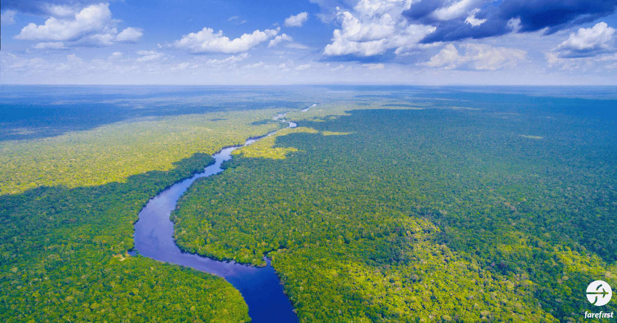 the-amazon-rainforest-and-manaus-the-lungs-of-the-earth