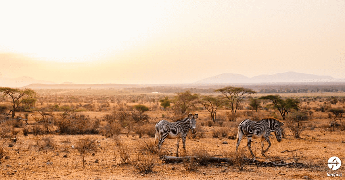 samburu-national-reserve