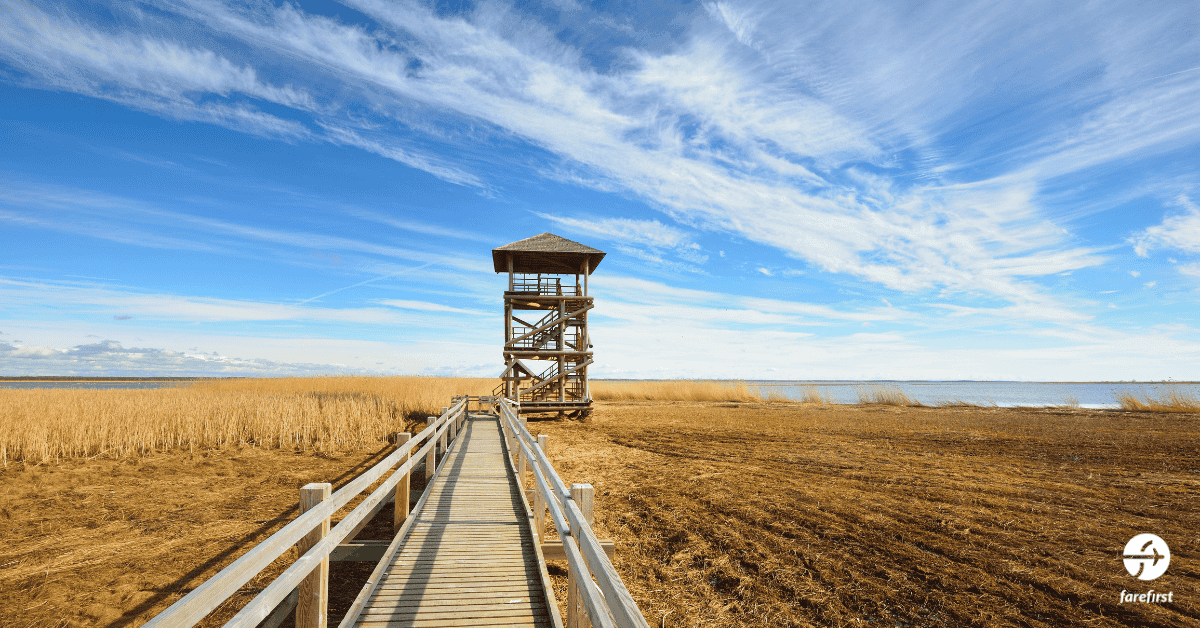 liepaja-the-city-of-wind-and-music